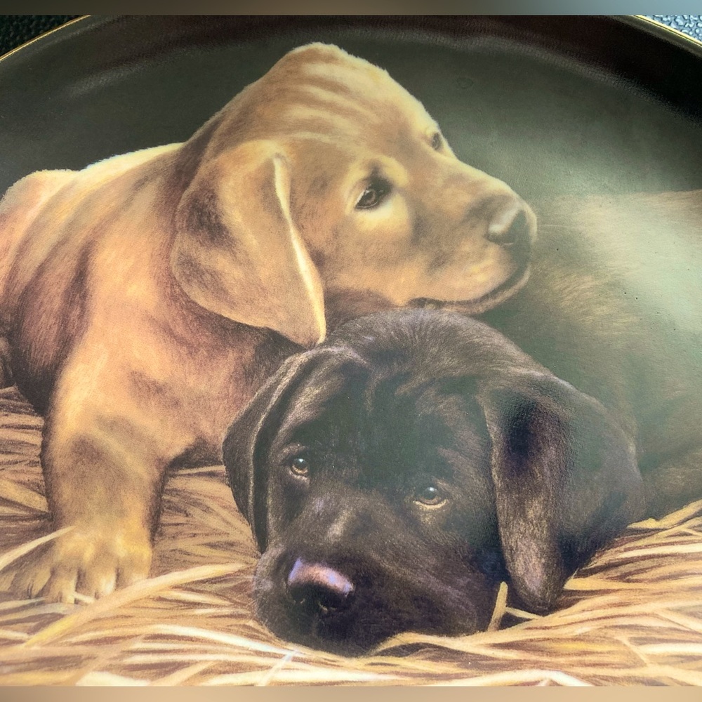 Franklin Mint Heirloom “Two’s Company” by Nigel Hemming  LABRADOR PUPPIES Oval